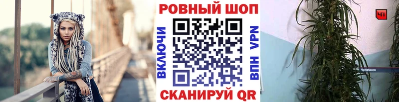 Купить Пустошка APVP МЕФ Гашиш КОКАИН