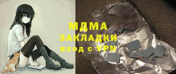 индика Ельня