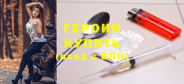индика Ельня