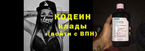 индика Ельня