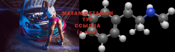 индика Ельня