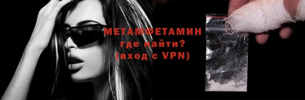 индика Ельня