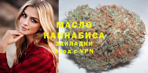 индика Ельня