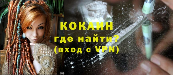 индика Ельня