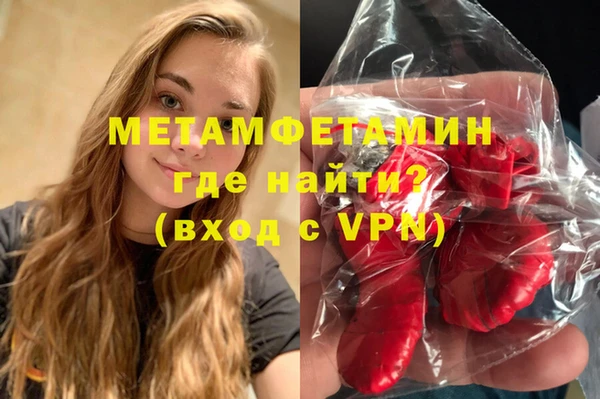 индика Ельня