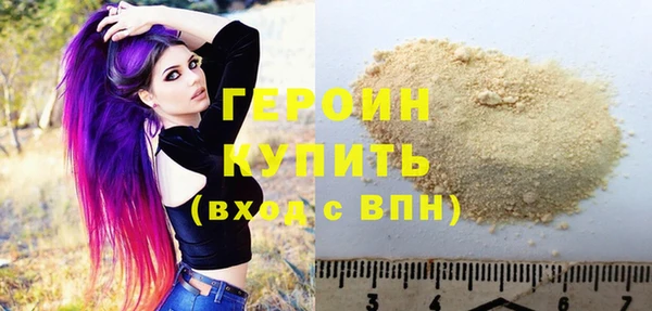 индика Ельня