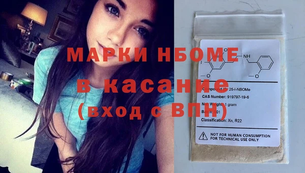 индика Ельня