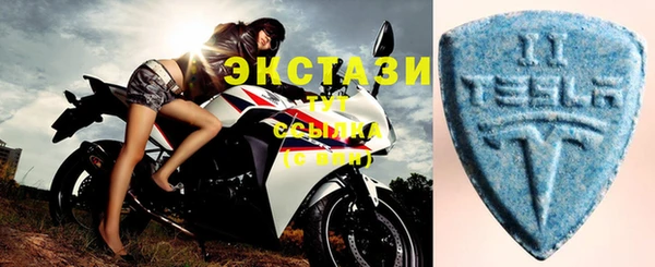 индика Ельня