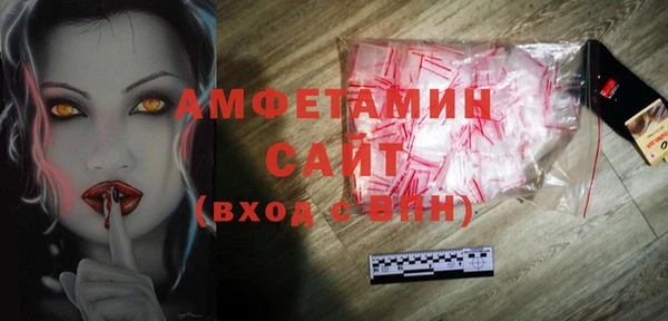 индика Ельня