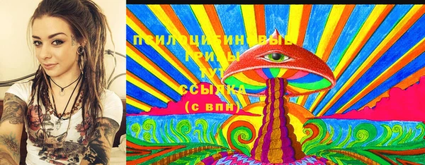 индика Карпинск