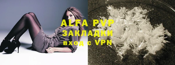 индика Ельня